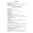 newtiam 1g 4 E1174 130x130px