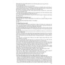 newtiam 1g 5 V8424 130x130px