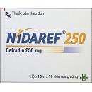 nidaref 250 6 A0061 130x130px