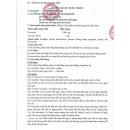 nlp cetam 2400 1 P6087 130x130px