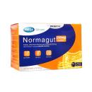 normagut 250mg sachet 3 V8111 130x130px