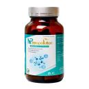 np zeropollution 2 J3646 130x130px