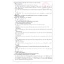 origluta 10ml 5 H2250 130x130px