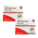 orthin 6000 granulat 2 N5648 130x130px