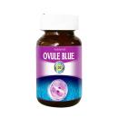 ovule blue 5 F2653 130x130px