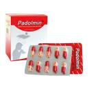 padolmin 325mg 4mg 2 L4480 130x130px