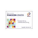 pakicen 2 A0328 130x130px