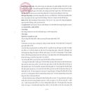 pencelavi 4 G2626 130x130px