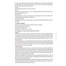 pentomidine injection 5 H3734 130x130px