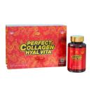 perfect collagen hyal vita 1 L4056 130x130px