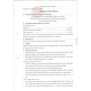 phabaleno 10 125 4 L4776 130x130px