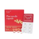 pine needle capsule 2 K4284 130x130px