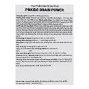 pnkids brain power 7 K4404 130x130px