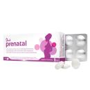 prenatal denk 1 G2111 130x130px