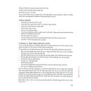prolutex 25mg 4 Q6005 130x130px
