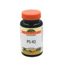 ps iq holista 4 F2468 130x130px