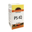 ps iq holista 7 P6078 130x130px