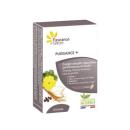 puissance B0036 130x130px