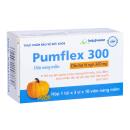 pumflex 300 anh 1 V8425 130x130px