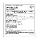 pumflex 300 anh 1 V8425 130x130px