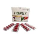 pungy 1 D1238 130x130px