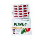pungy 2 K4865 130x130px