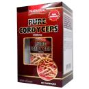 pure cordyceps 3 T7848 130x130px