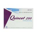 quincef 250 2 I3446 130x130px