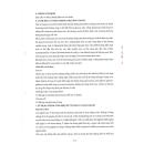 ranleus 4 M5713 130x130px