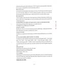 ranleus 5 G2176 130x130px