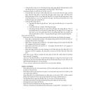 rolulas 10mg 5 E1503 130x130px