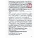 rukoffa 6 S7278 130x130px