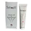sebogel 1 A0373 130x130px