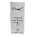 sebogel 2 H2110 130x130px