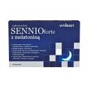 sennio forte 3 A0824 130x130px