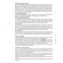 seocelis injection 1000mg10ml 4 I3181 130x130px
