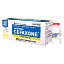 shinpoog cefaxone 1g 1 F2623 130x130px