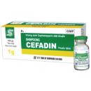 shinpoong cefadin 7 N5138 130x130px