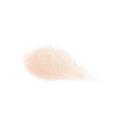 shiseido future solution lx total radiance loose powder 5 G2688 130x130px