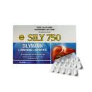 sily 750 2 V8732 130x130px