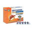 silycanmax gold 1 A0653 130x130px