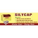 silycap 4 F2343