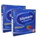 silymarin b complex plus 2 V8637 130x130px