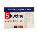 skytine 1 C0140 130x130px