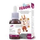 smartbibi fesom 1 G2048 130x130px