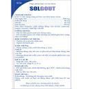 solgout 16 F2325 130x130px