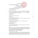 solindago 3 L4513 130x130px