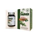 sophoja 3 P6117 130x130px