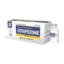 sp cefoperazone 1 B0108 130x130px
