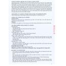 spreadin 250mg 4 L4101 130x130px